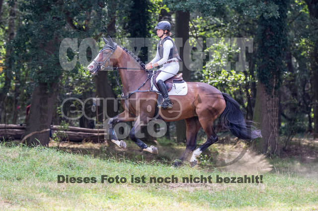 Late-Entry Vielseitigkeit Hamminkeln/Wesel (01.+02.08.2020)