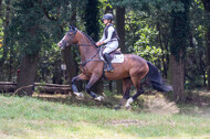 Late-Entry Vielseitigkeit Hamminkeln/Wesel (01.+02.08.2020)