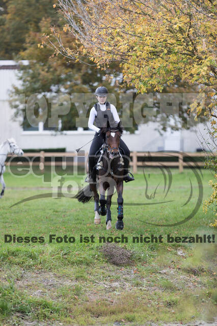 IGV Lehrgang der Sieger der Cups mit Frank Ostholt