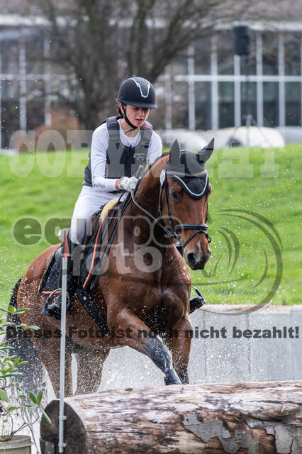 Goldene Schärpe 2020 - Pferde