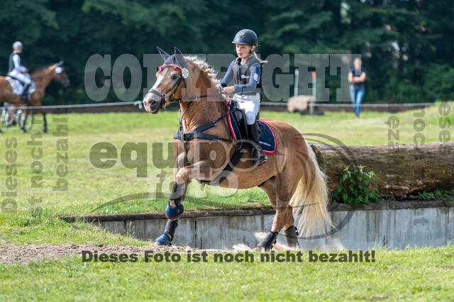 Goldene Schärpe 2021 - Ponys