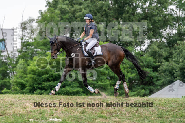 Late-Entry-Vielseitigkeit Langenfeld (11.+13./14.06.2020)