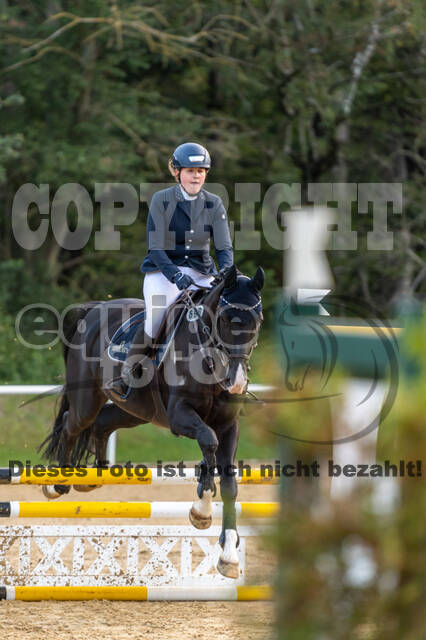 RFV Dinslaken-Hiesfeld (Herbstturnier)