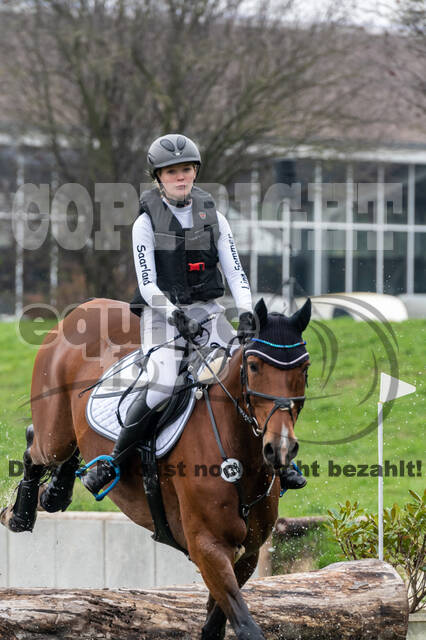 Goldene Schärpe 2020 - Pferde