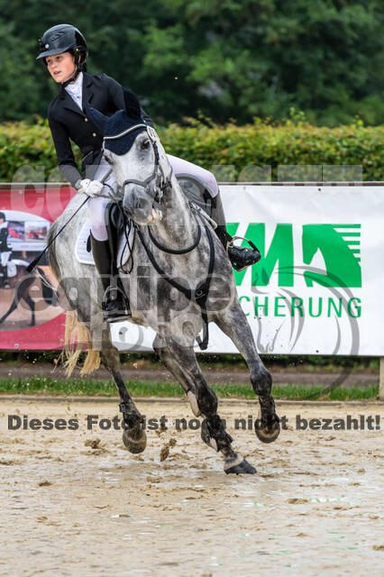 Goldene Schärpe 2021 - Ponys