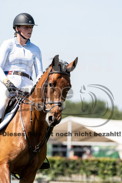 Kronenberg - De Peelbergen (August 2020)