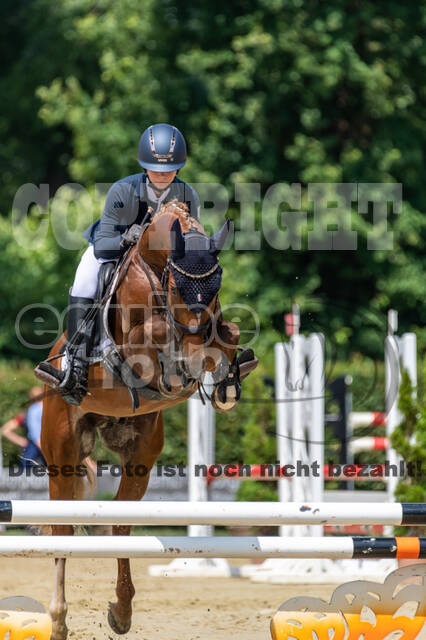 Goldene Schärpe 2021 - Ponys