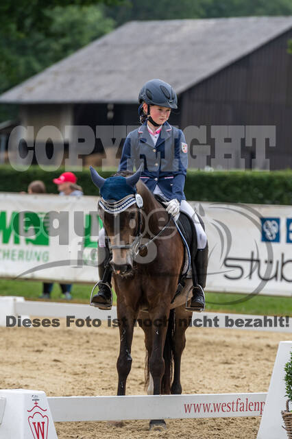 Goldene Schärpe 2021 - Ponys