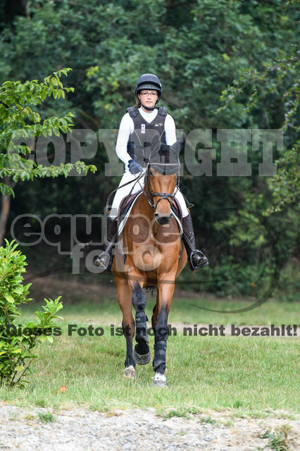 Late-Entry-Vielseitigkeit Langenfeld (11.+13./14.06.2020)