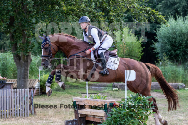 Late-Entry Vielseitigkeit Hamminkeln/Wesel (01.+02.08.2020)