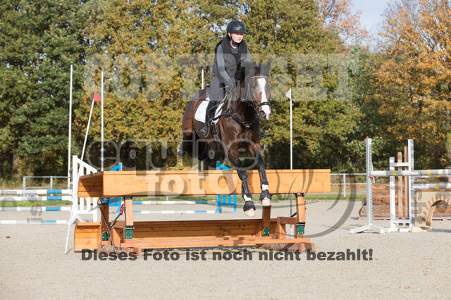 IGV Lehrgang der Sieger der Cups mit Frank Ostholt