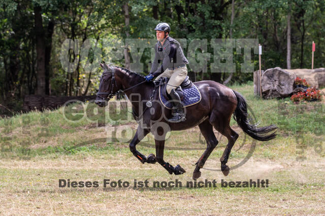 Late-Entry Vielseitigkeit Hamminkeln/Wesel (01.+02.08.2020)