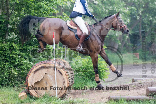 Vielseitigkeitsturnier ZRFV von Lützow Hamminkeln
