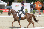 FEI European Championship Eventing 2017