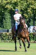 Kronenberg - De Peelbergen (August 2020)