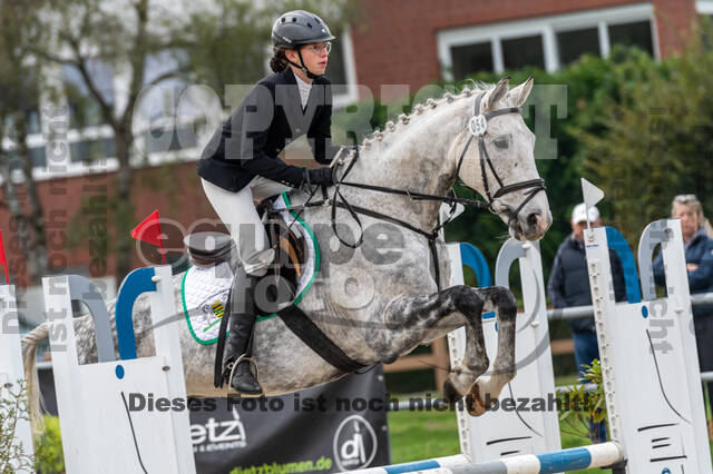 Goldene Schärpe 2020 - Pferde