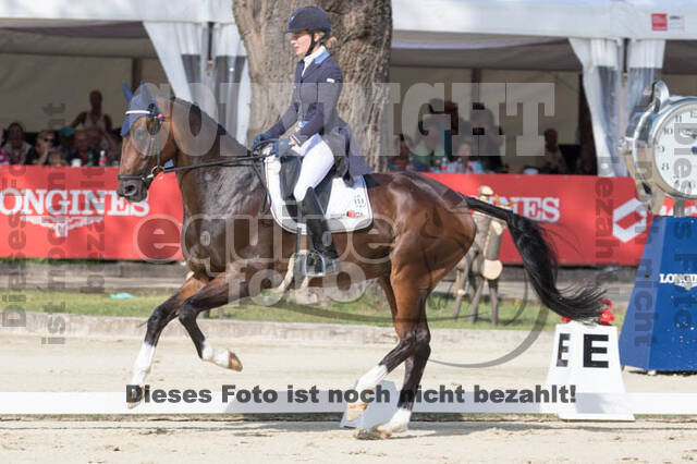 FEI European Championship Eventing 2017