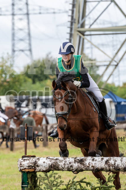 Vielseitigkeit RSV Wesel Obrighoven (26.+27.09.2020)
