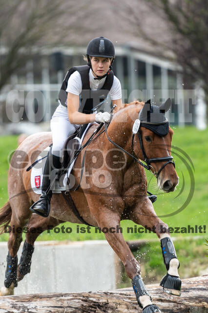 Goldene Schärpe 2020 - Pferde