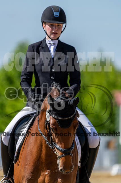 Westerstede Horse Trials 2021