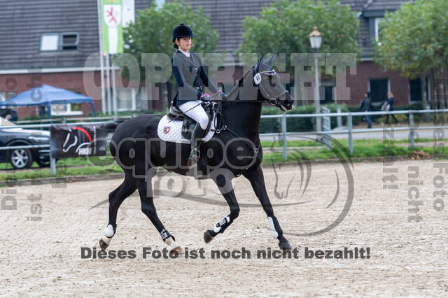 Reiter Schleswig-Holstein