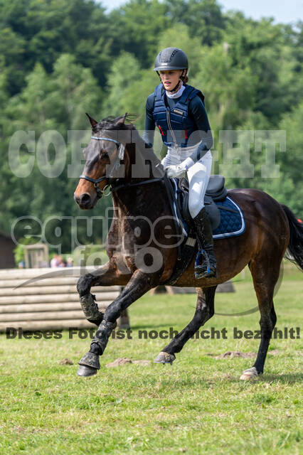 Goldene Schärpe 2021 - Ponys