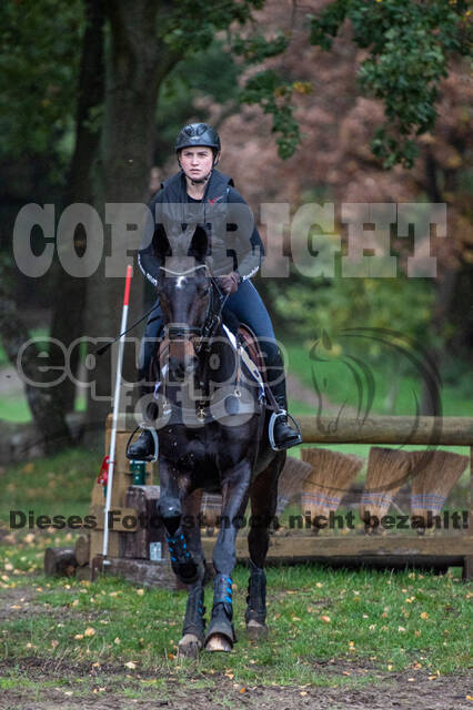 Training Bettina Hoy (01.11.2020)