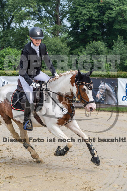 Goldene Schärpe 2021 - Ponys