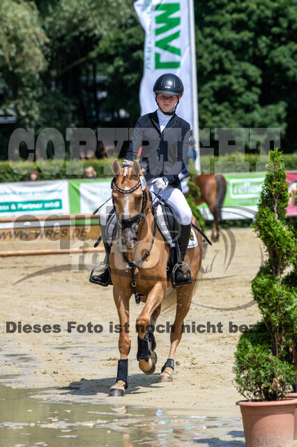 Goldene Schärpe 2021 - Ponys