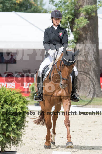 FEI European Championship Eventing 2017