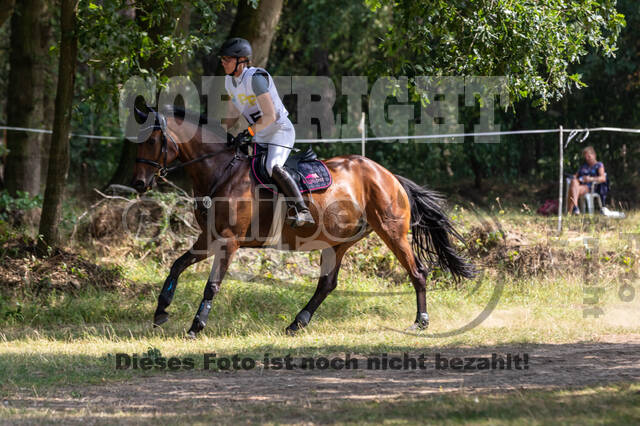 Late-Entry Vielseitigkeit Hamminkeln/Wesel (01.+02.08.2020)