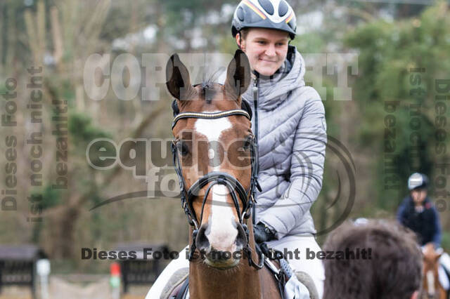 Jungpferdetag Hamminkeln