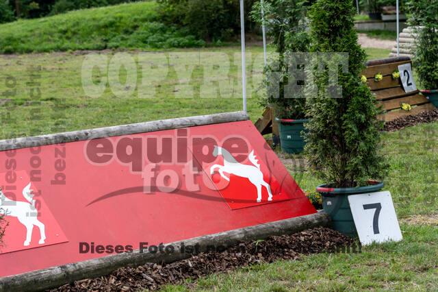 Goldene Schärpe 2021 - Ponys