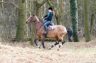 Geländetraining RSV St. Hubertus Wesel Obrighoven