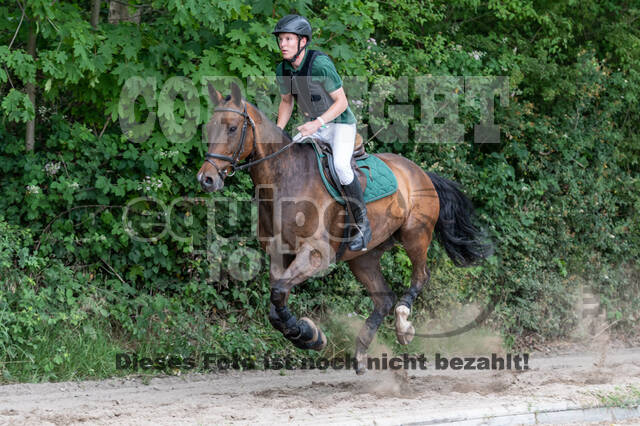 Late-Entry-Vielseitigkeit Langenfeld (11.+13./14.06.2020)