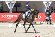 FEI European Championship