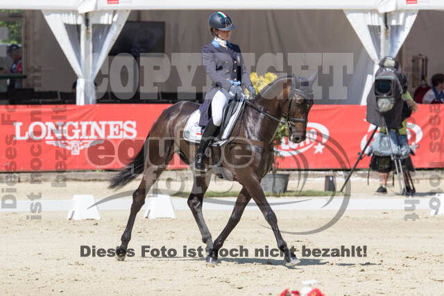 FEI European Championship