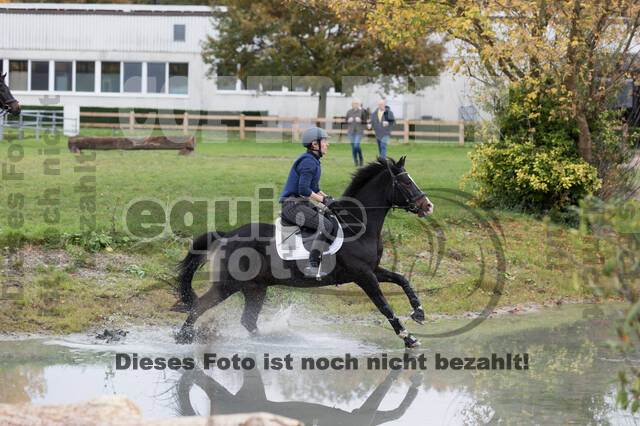 IGV Lehrgang der Sieger der Cups mit Frank Ostholt