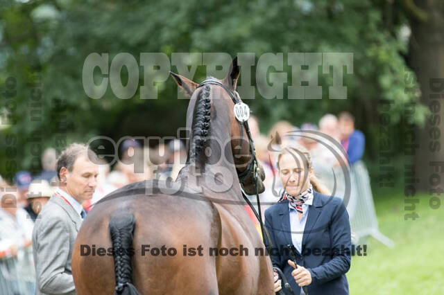 FEI European Championship Eventing 2017