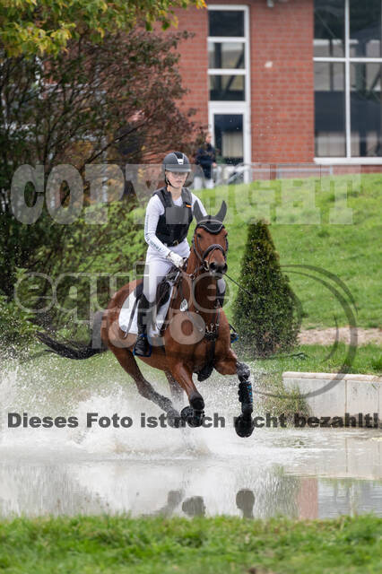 Goldene Schärpe 2020 - Pferde