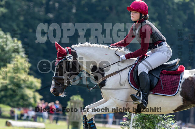 Goldene Schärpe 2021 - Ponys