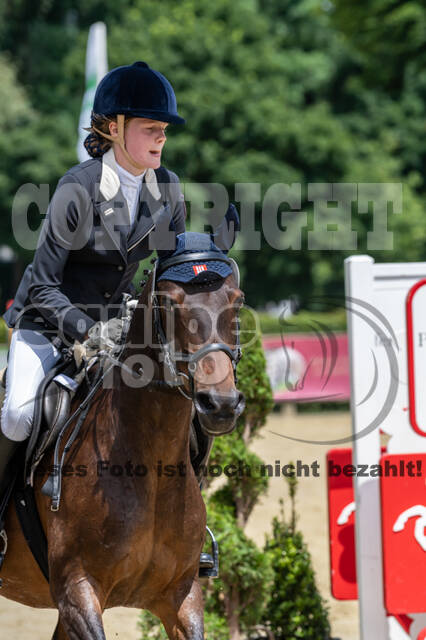 Goldene Schärpe 2021 - Ponys