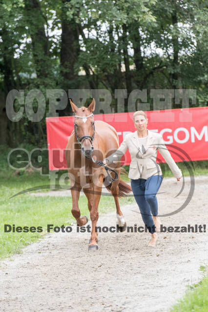 FEI European Championship Eventing 2017