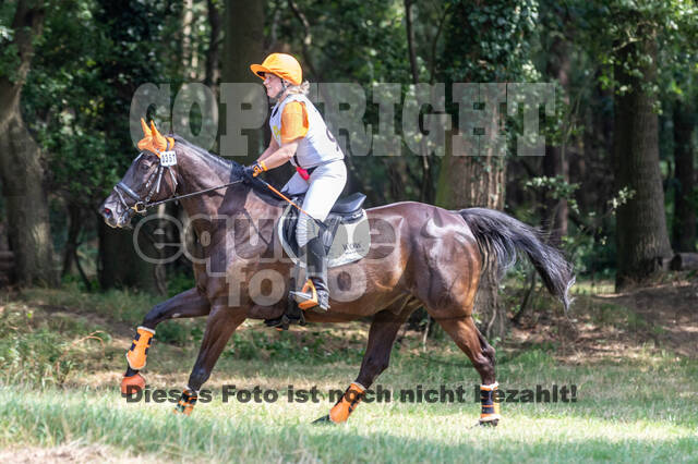 Late-Entry Vielseitigkeit Hamminkeln/Wesel (01.+02.08.2020)
