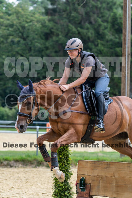 Hunter Geländetraining 10.07.2021 (Sonsbeck)