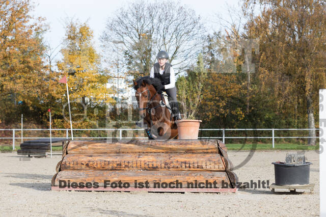 IGV Lehrgang der Sieger der Cups mit Frank Ostholt