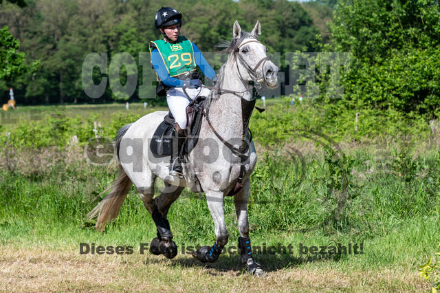 Westerstede Horse Trials (10.-13.06.2021)