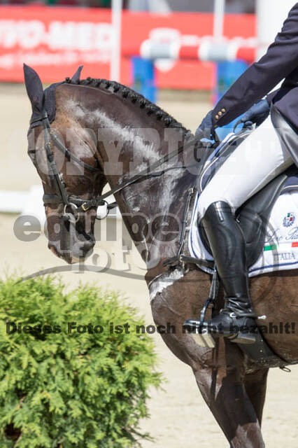 FEI European Championship