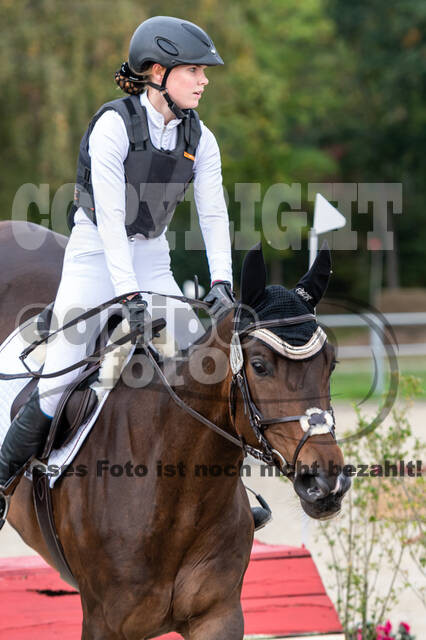 Goldene Schärpe 2020 - Pferde