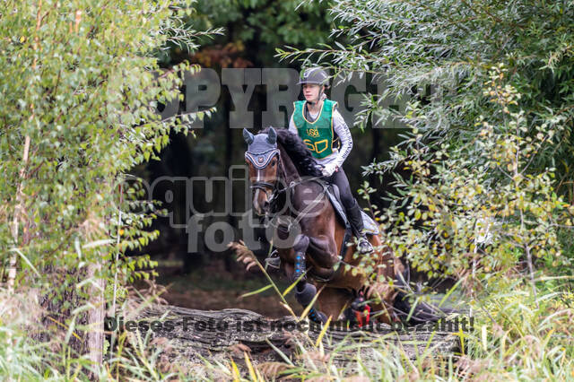 Vielseitigkeit RSV Wesel Obrighoven (26.+27.09.2020)